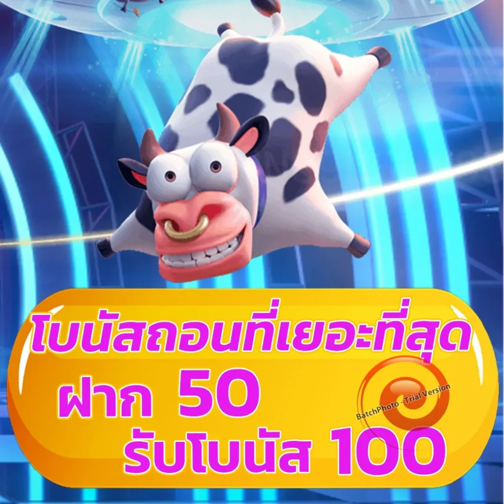 เว็บหวย100
